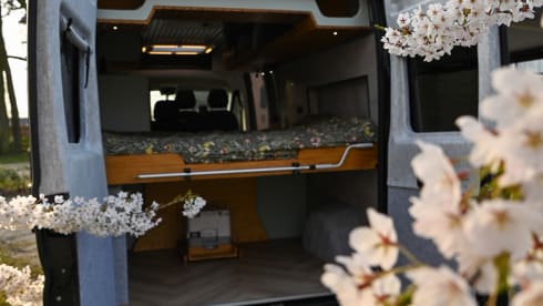 3-seater Peugeot bus from 2026