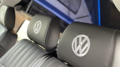 Harley – When Dog Friendly Means Dog Friendly - Luxury VW T6.1 Campervan