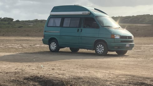 Andrea  – T4 California