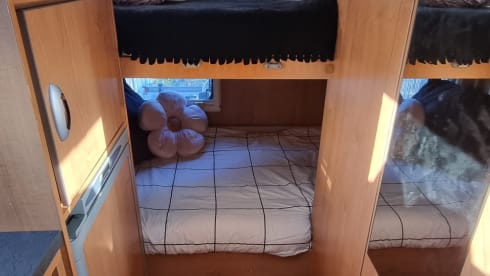 Caroline – Ready to Adventure - 6 Berth Motorhome Hire