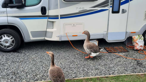 Natalie – Ideale per vacanze in famiglia