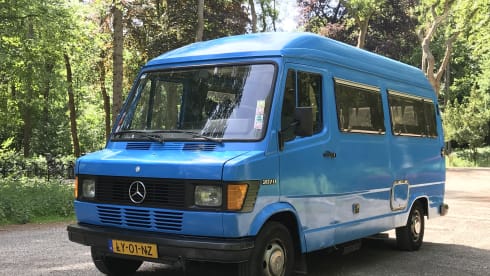Lynz – Cheerful camper van Westfalia
