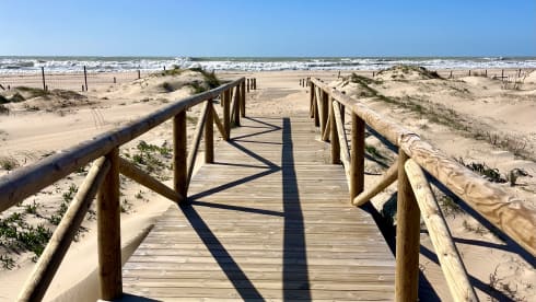 5p Benimar semi-integrated from 2026