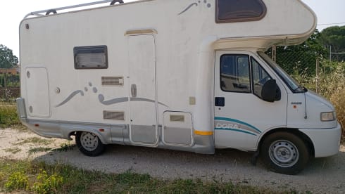 fedcamp – Camper Fiat Ducato Elnagh ( Duke ) cellula anno 2008