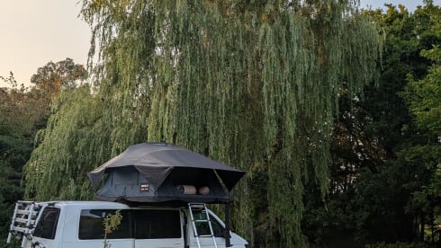 Feel good 66, no dull days – Camper Volkswagen a 6 posti letto del 2016
