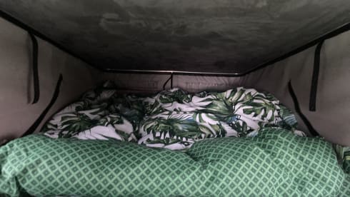 Ginny β 4 berth Volkswagen campervan from 2009