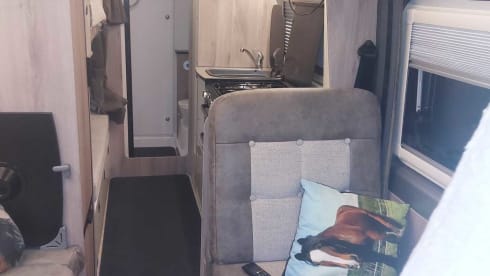 4 berth Fiat campervan from 2023