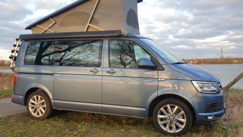 Blauw – Volkswagen T6 automatic California bus camper with pop-up roof.
