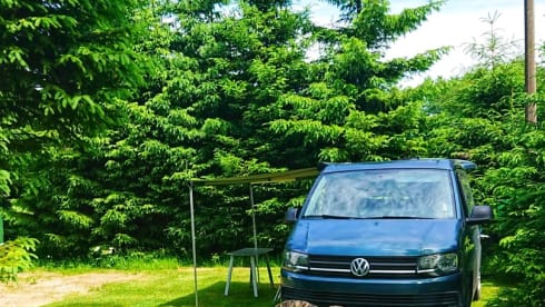 Toontje – Toontje: 4p Volkswagen campervan from 2017