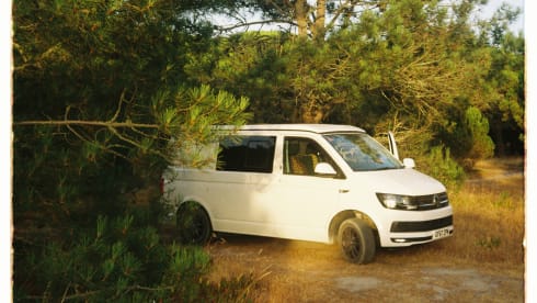 Herbie – Cute and cosy Volkswagen (seats + sleeps 3, 2017)
