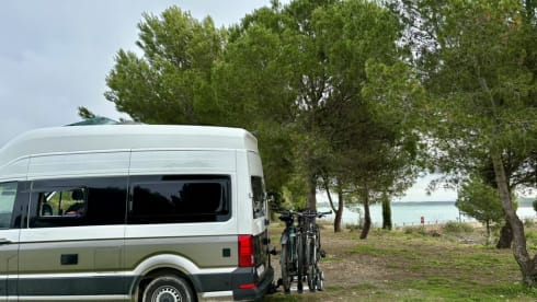 Grote beer – 4p Volkswagen campervan from 2022