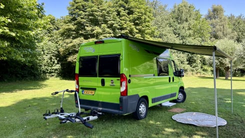 3p Fiat bus from 2019