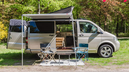 Alice The Van – Künstlerischer Dschungelcamper