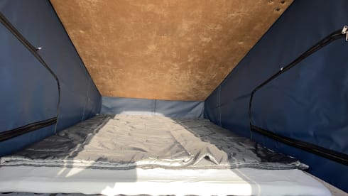 4 person Volkswagen T6 camper from 2023