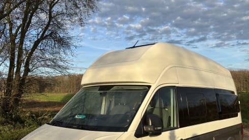 Grote beer – 4p Volkswagen campervan from 2022