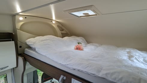 benimar 342 – 5p Benimar alcove from 2016