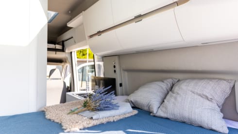 Alf – 4p Volkswagen bus from 2022
