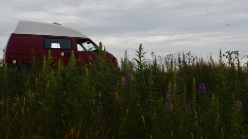 "Thermos" – 2 berth '02 VW T4 - *Insurance included* -  3 miles from INVERNESS AIRPORT 