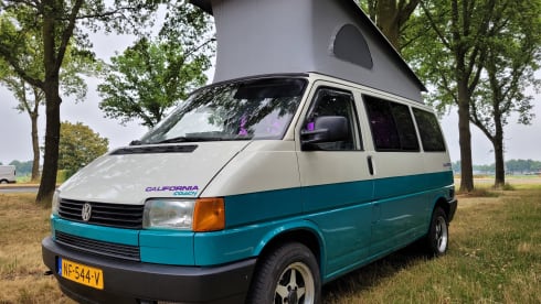 Dolly! – Go on an unforgettable road trip with this T4 Westfalia! KM-free!
