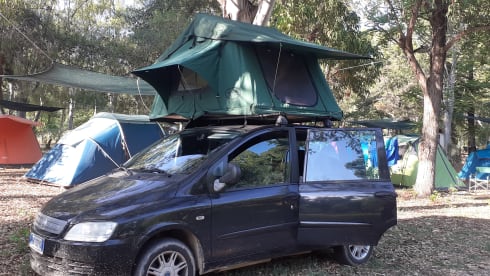 MultiPuglia Travel – Travel sustainably