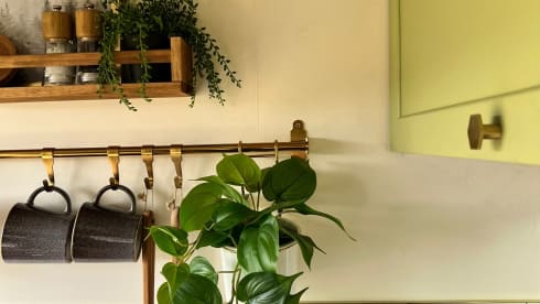 Murphy – The Big Green Camper