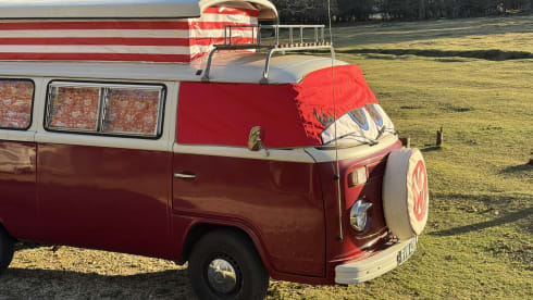 Rosie – Take me out for a retro adventure with your friends, family and pets