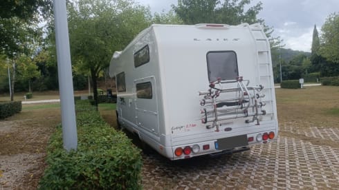 FELU ♥️ – FELU ♥️