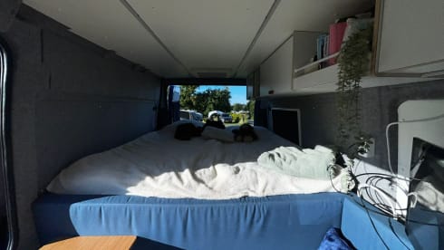 Blauw plezier – 2-person Peugeot Campervan | With new interior 2024