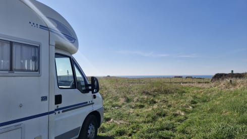 4p Adriatik Coral 5680 SP