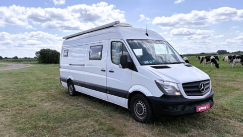 De Camper zonder Naam – Wunderschöner Mercedes-Benz Zweisitzer 
