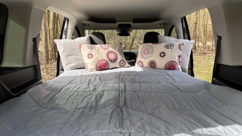 Zermatt – Ford Tourneo