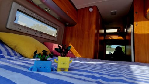 2p Fiat bus uit 2009