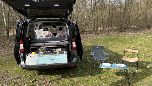 Zermatt – Ford Tourneo