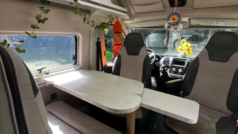 Onzen Bie  – 2p Fiat bus from 2023