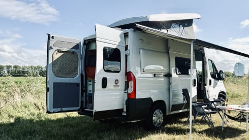 Bennie – Bennie: Fiat Campervan (Automatic) - Pet Friendly - 4 Persons