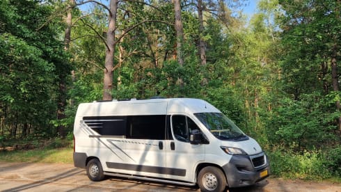 2p Peugeot bus from 2016