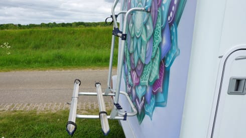 Fijne Frankia camper