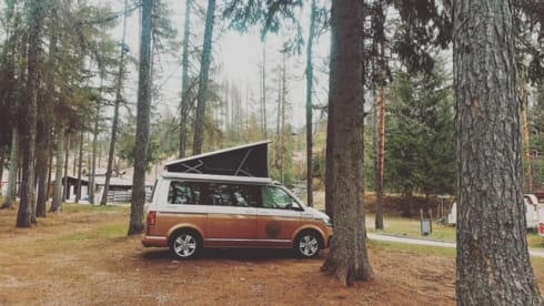 Ludwig – VW T6.1 California Ocean