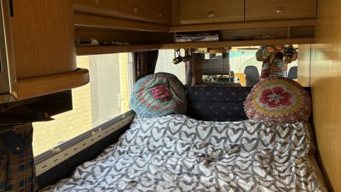 Laika – 4p Laika integrated uit 1998