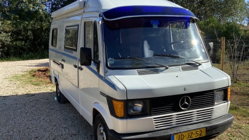Roxanne – Mercedes Roxanne 207D