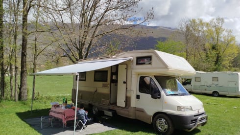 M.E.G.A.N. – Freedom has no price