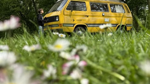 Joker – 4p Volkswagen campervan from 1980