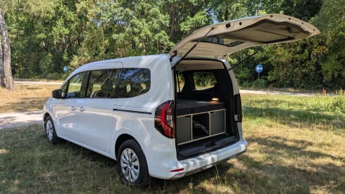 Autobus Renault a 2 posti dal 2026