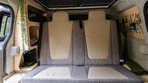 Adventure Express – Volkswagen ID Buzz - 100% electric