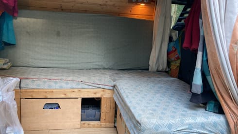 Tough Iveco Daily from 2006