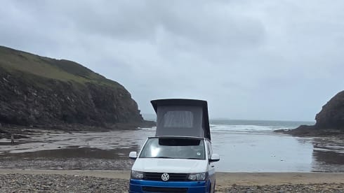 Bluey  – Camper Volkswagen a 4 posti letto del 2012