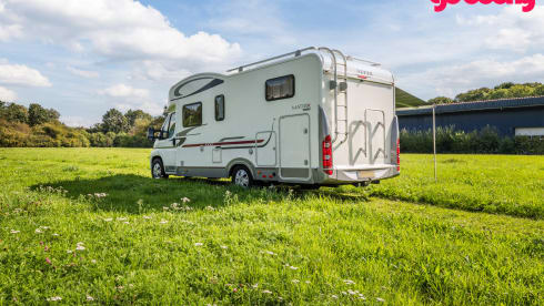 Kikker  – 5p Adria Mobil integrated uit 2011