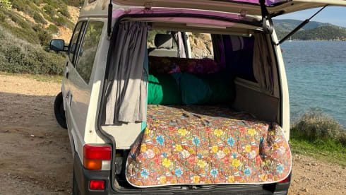 Dani – Volkswagen t4 Reimo