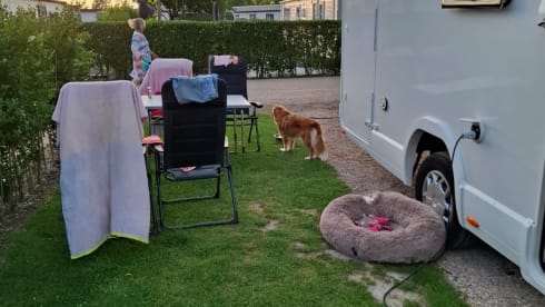 6p Ford alcove uit 2023