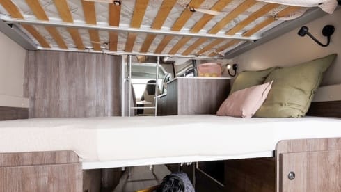 Benimar Van - Find everything you need! 